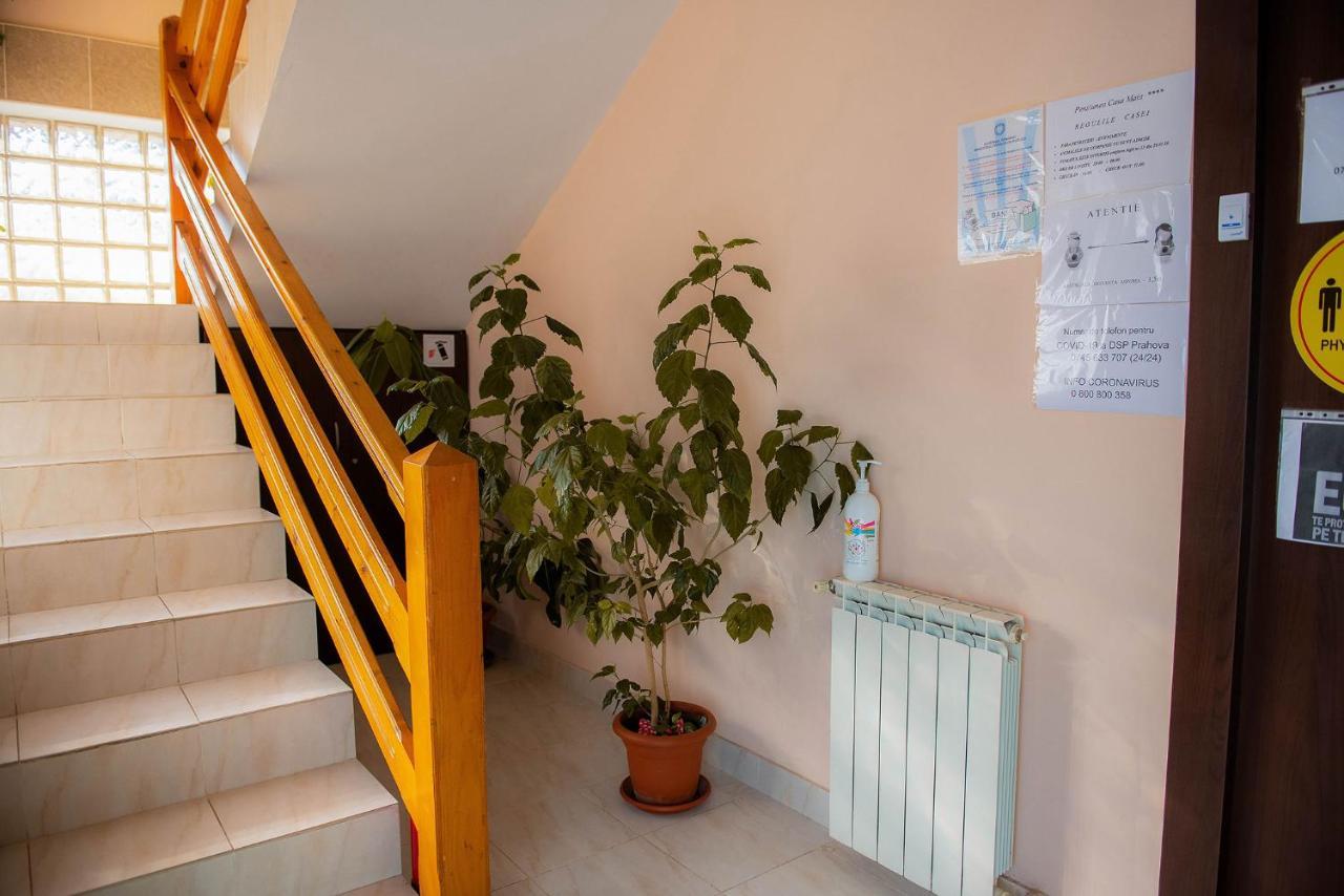 Casa Maia Hotel Buşteni Exterior foto